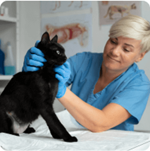 Dr. Horváth Daniella