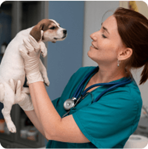 Dr. Katona Ramóna Rólunk