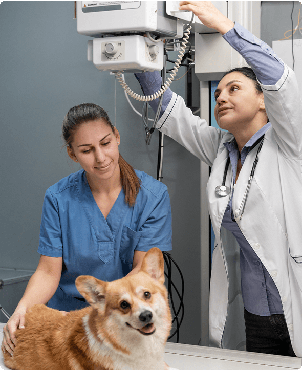 Az ellátás folyamata