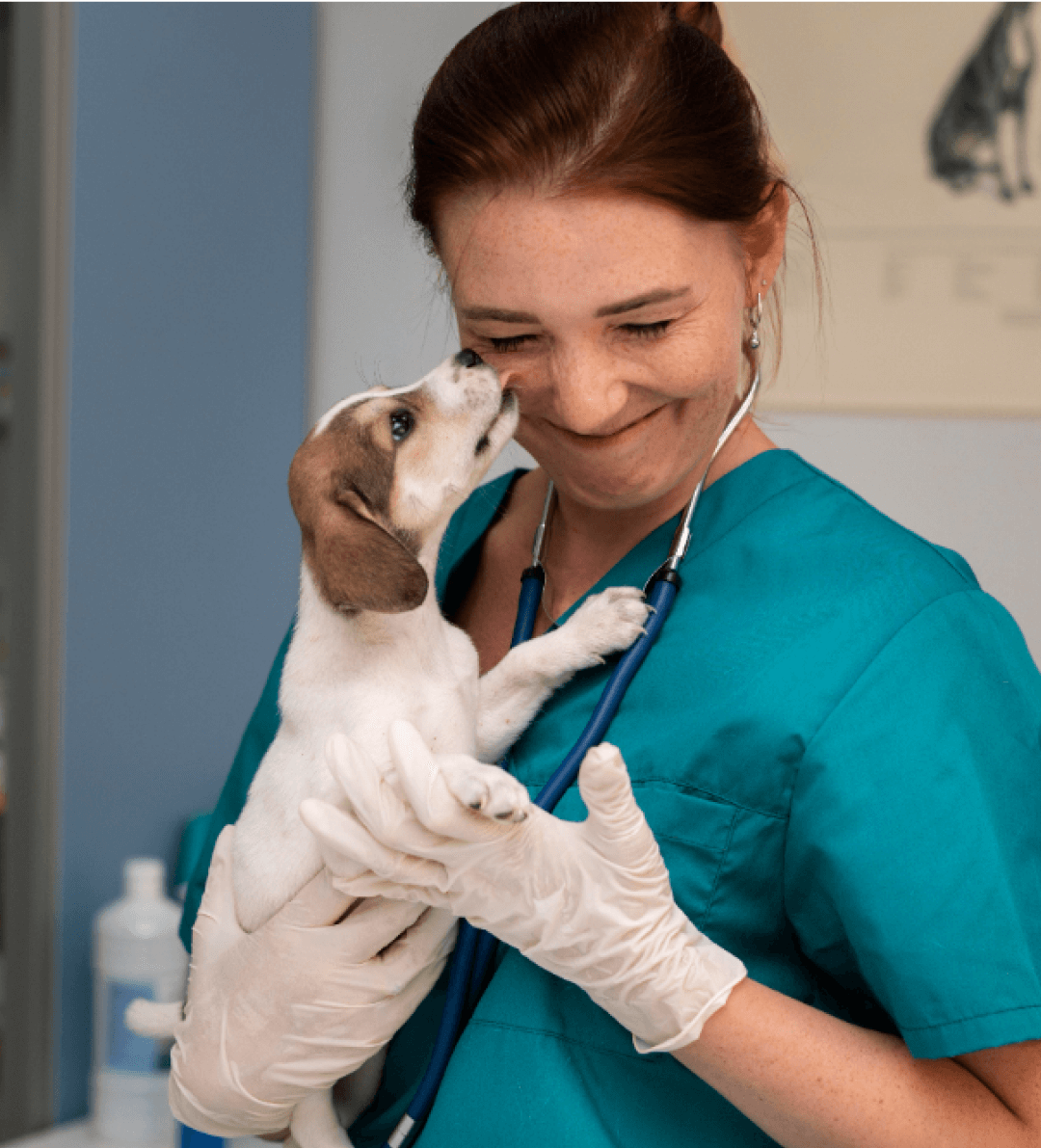 Dr. Katona Ramóna Főoldal